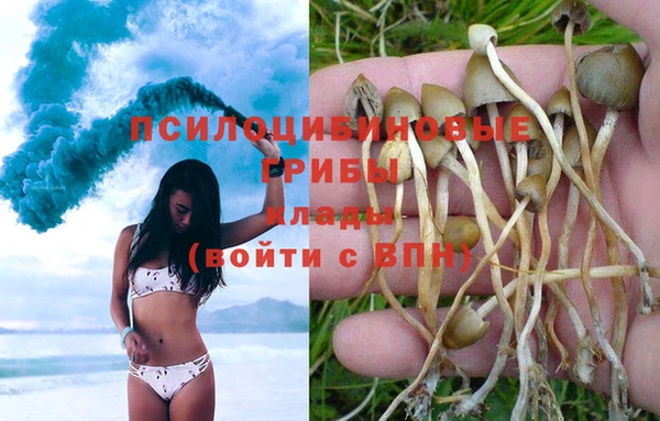 эйфоретик Михайлов