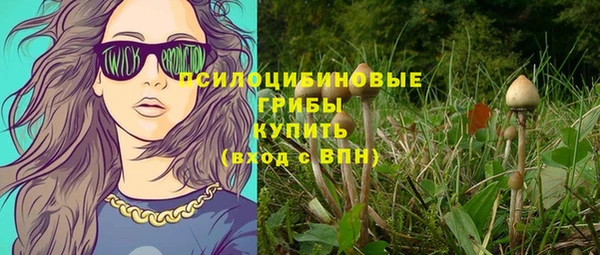 эйфоретик Михайлов