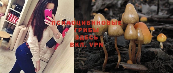 MESCALINE Михайловск
