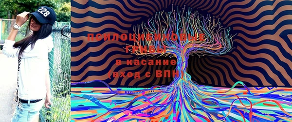 эйфоретик Михайлов