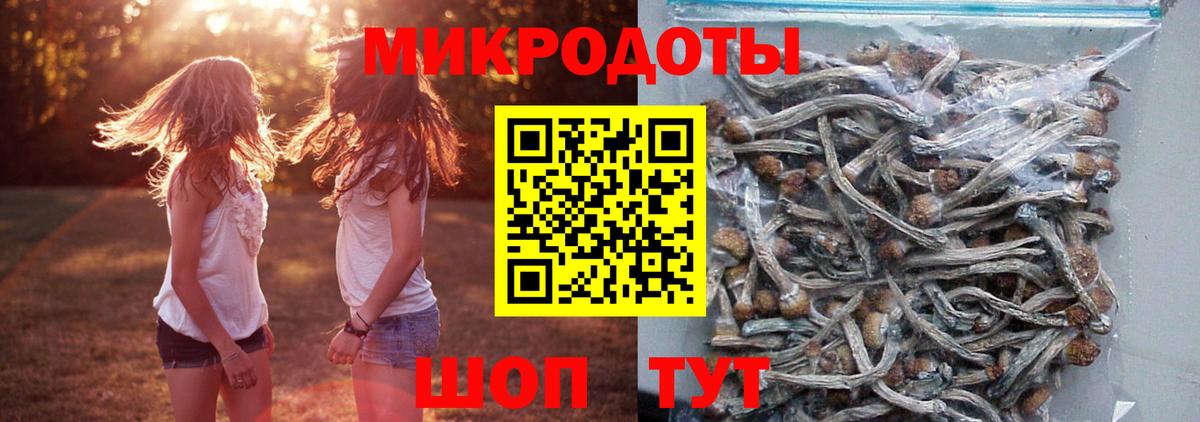  COCAIN Новокубанск