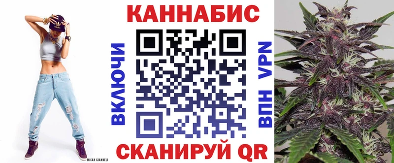 МАРИХУАНА сатива  Новокубанск 